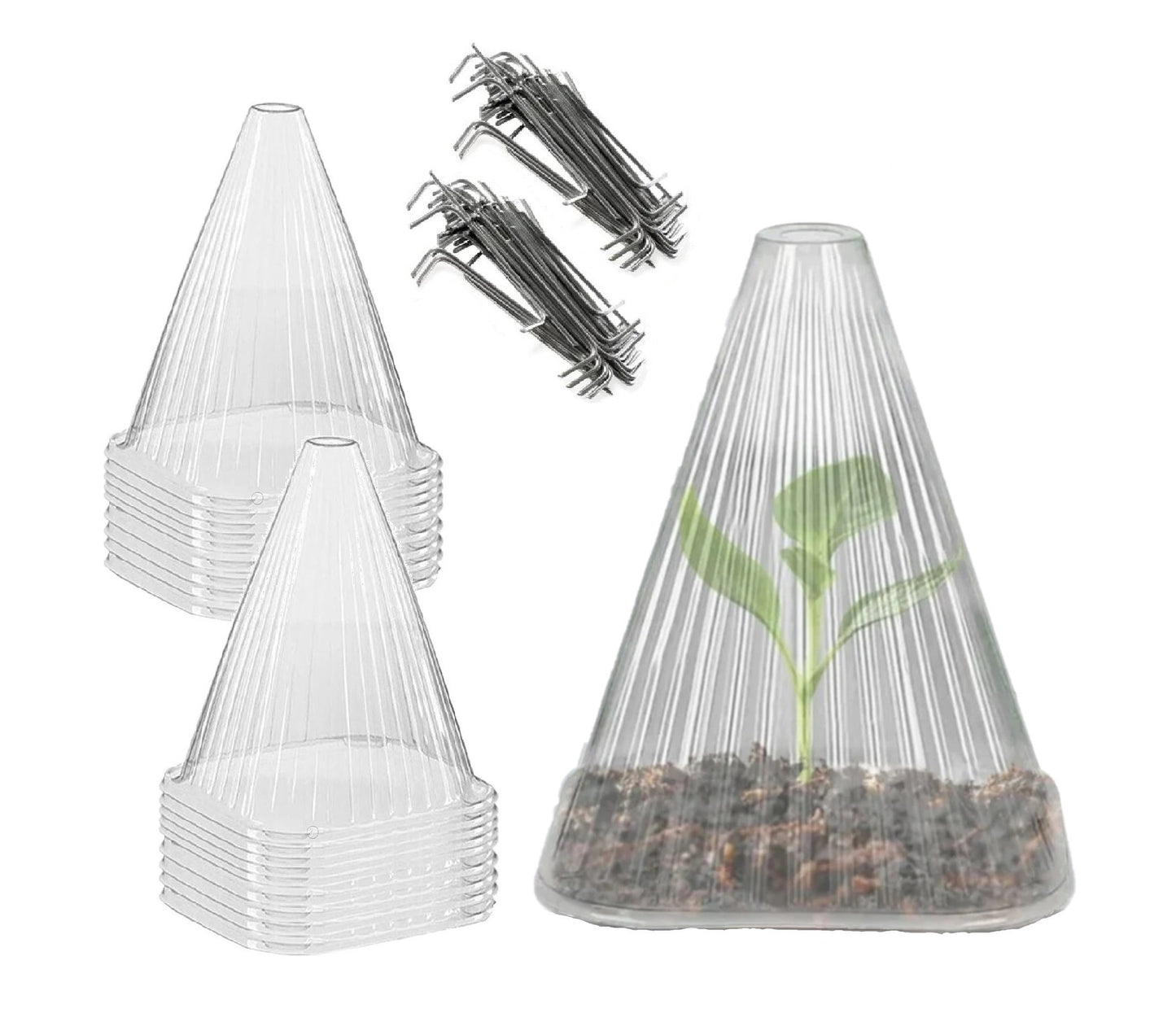 Garden Cloche - Clear Pack of 20 (Includes Metal Stakes)
