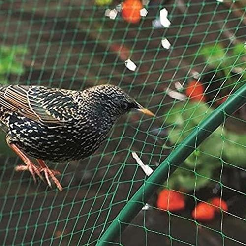Garden Netting Anti Bird Veg Fruit Plant Pond Net Protection x1 Pcs (2m x 10m)