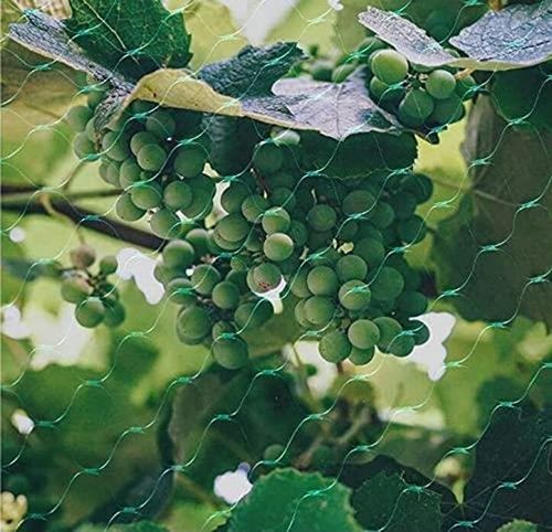 Garden Netting Anti Bird Veg Fruit Plant Pond Net Protection x1 Pcs (2m x 10m)