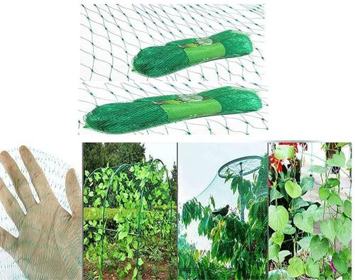 Garden Netting Anti Bird Veg Fruit Plant Pond Net Protection x1 Pcs (2m x 10m)