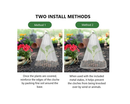 Garden Cloche - Clear Pack of 20 (Includes Metal Stakes)