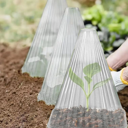Garden Cloche - Clear Pack of 20 (Includes Metal Stakes)