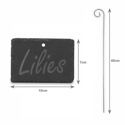 Slate Plant Hanging Labels - Set of 10