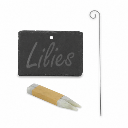 Slate Plant Hanging Labels - Set of 10