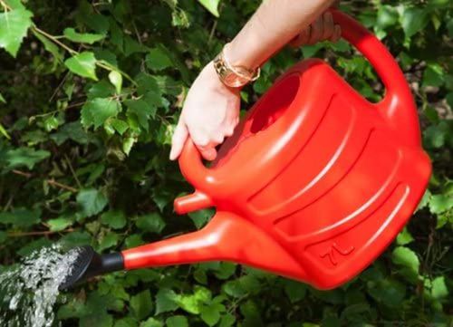 7L Watering Can - Red