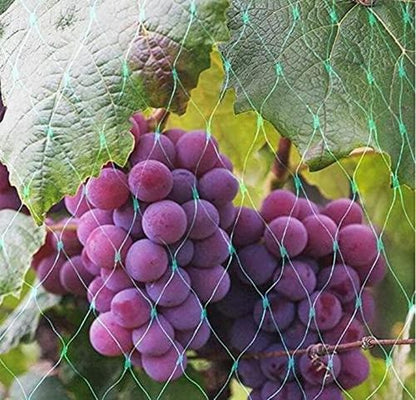 Garden Netting Anti Bird Veg Fruit Plant Pond Net Protection x1 Pcs (2m x 10m)