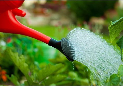 7L Watering Can - Red