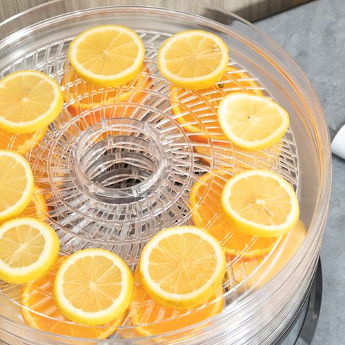 5-Tier 250W Stainless Steel Food Dehydrator - Silver
